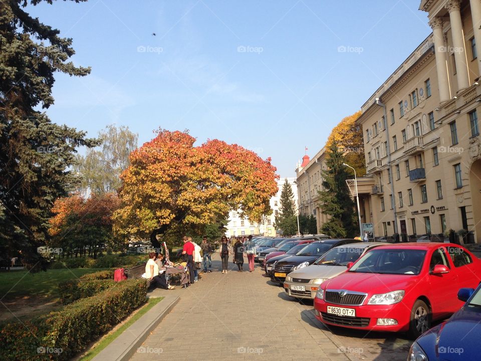 Autumn in the city 