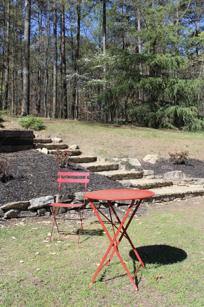 Picnic in the park 2