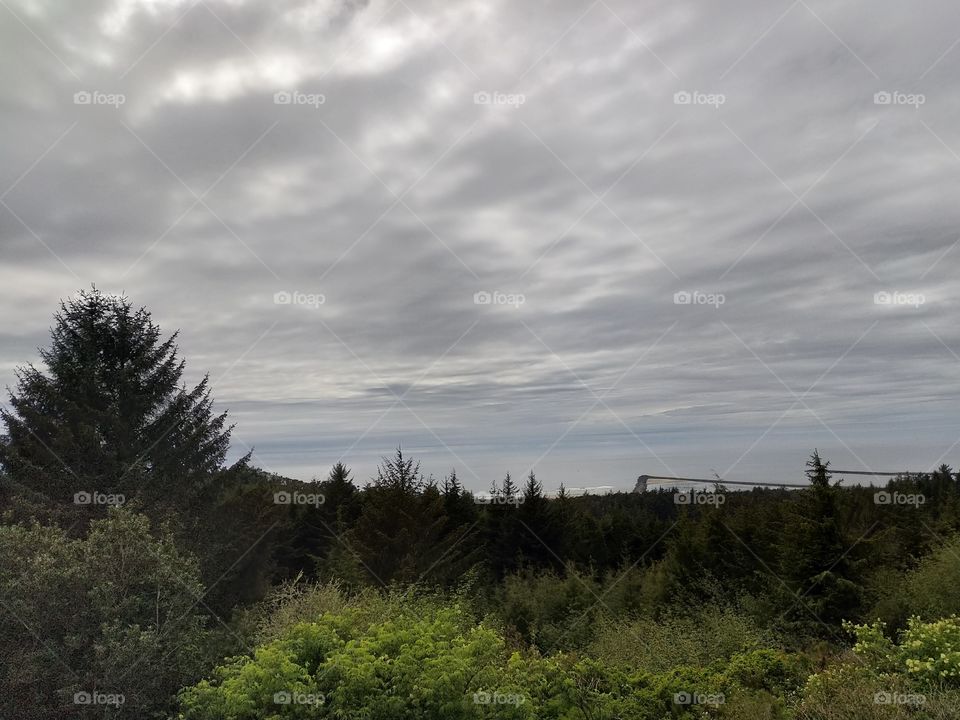 The Oregon Coast, in all of it's beauty. You can see the ocean on this overcast afternoon