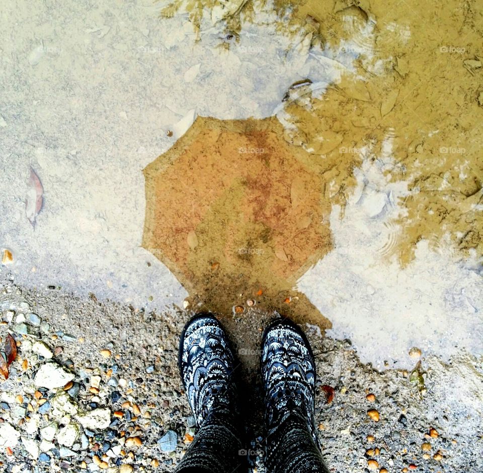 Umbrella Reflection