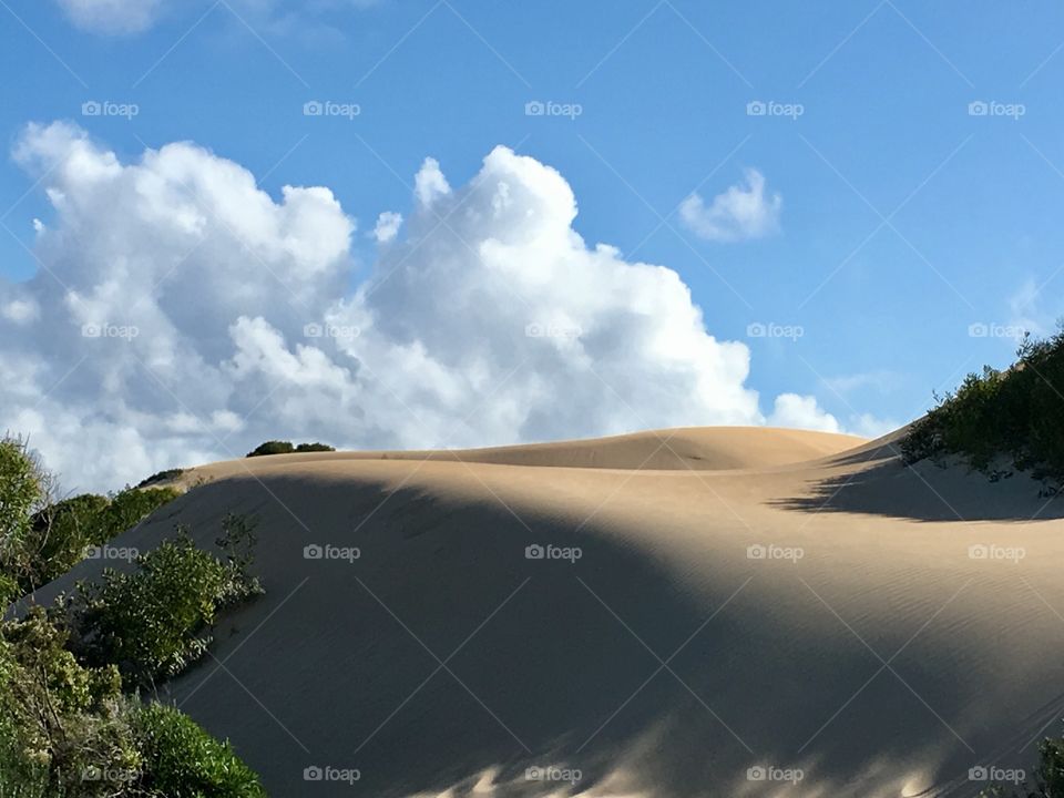 Golden sand dunes along the South Australian Coast and outback bush, at Lincoln National Park, Southern Ocean on sunny cloudy day, outdoors ethereal concept copy space