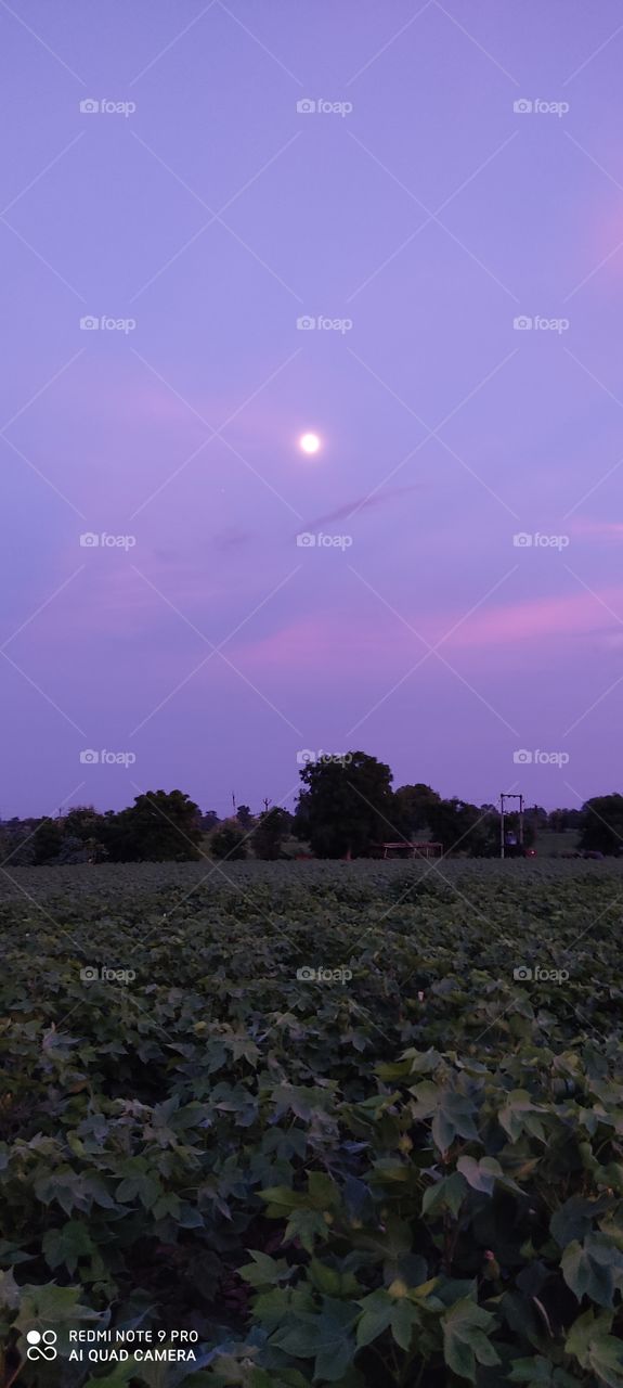 The moon looks beautiful