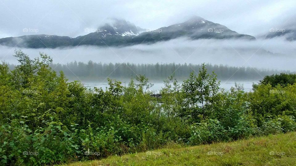 River mist encloses an island of trees on a Alaskan rainy day.