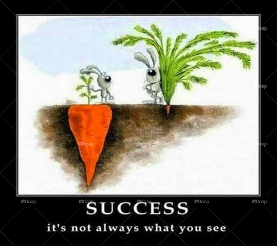 Things are not always what they seem.Success, too.