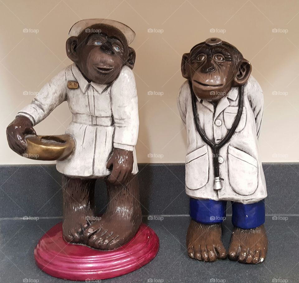 Chimp Doctor and Nurse