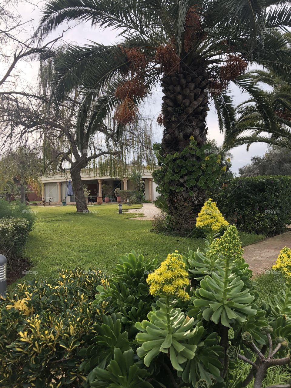 Garden Morocco 