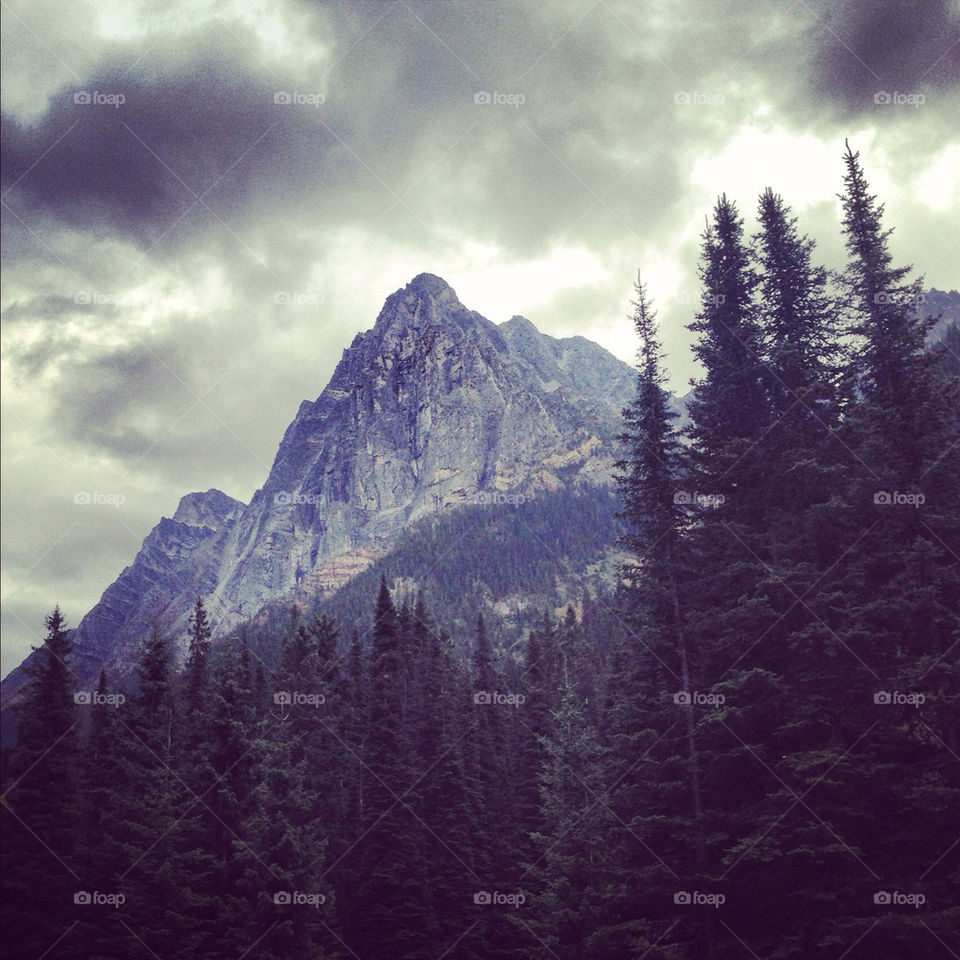 trees cloudy mountains pine trees by redrock