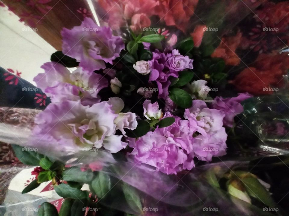 Azaleia ou Azaleia é um arbusto de flores classificadas no gênero dos, rododendros, existem Azaleia de folhas caducas e Azaleias perenes. A Azaleia japonesa ou Azaleia  japonica é um dos tipos  mais populares