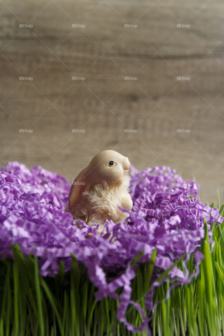 Rabbit in the grass and decor