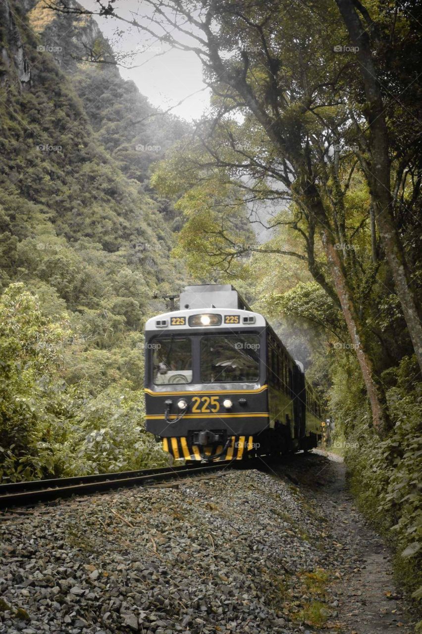 tren - machupicchu