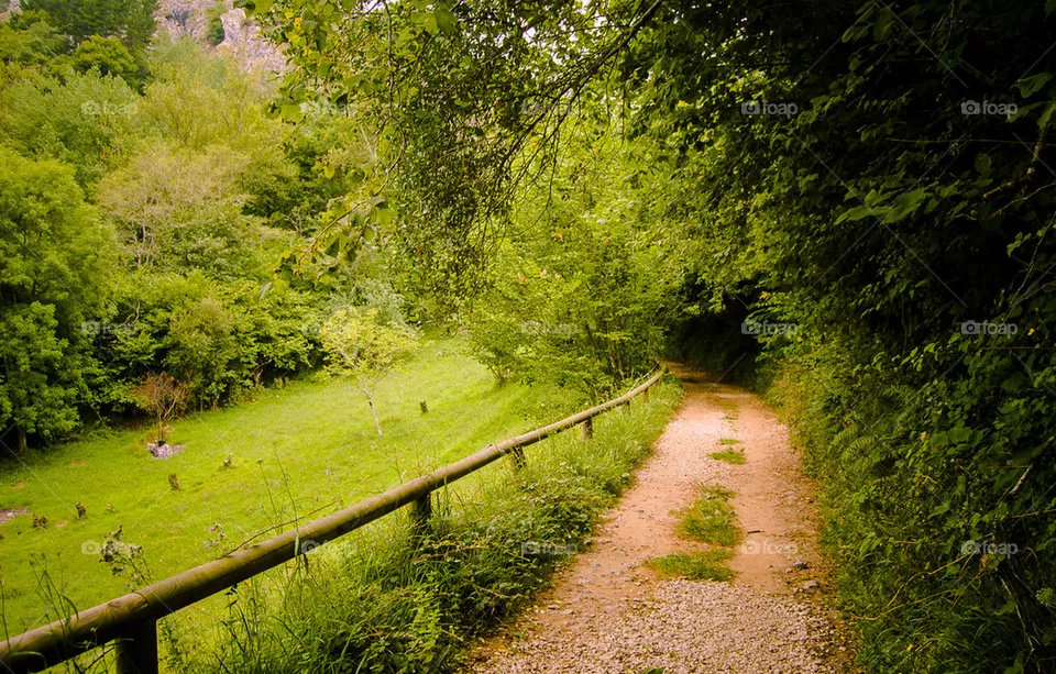 Road 