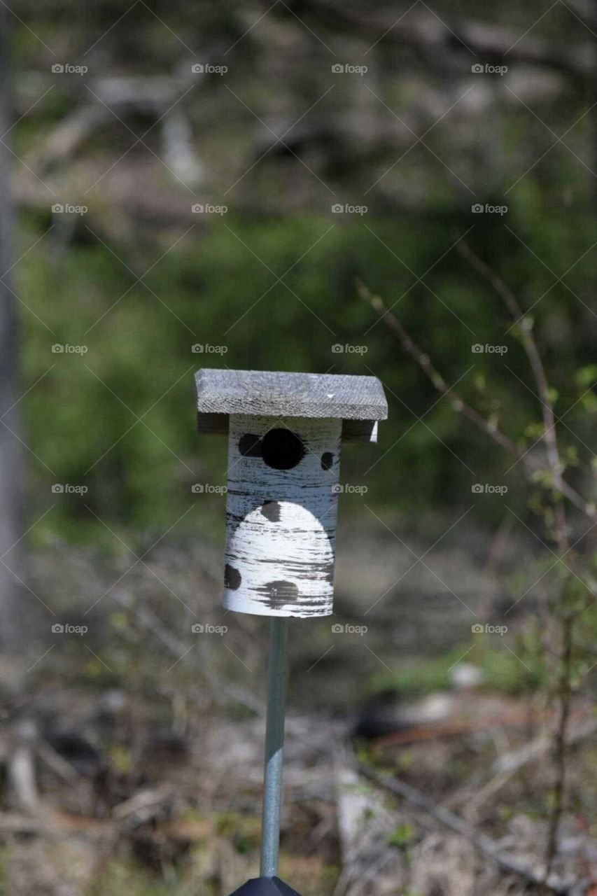 Bluebird House