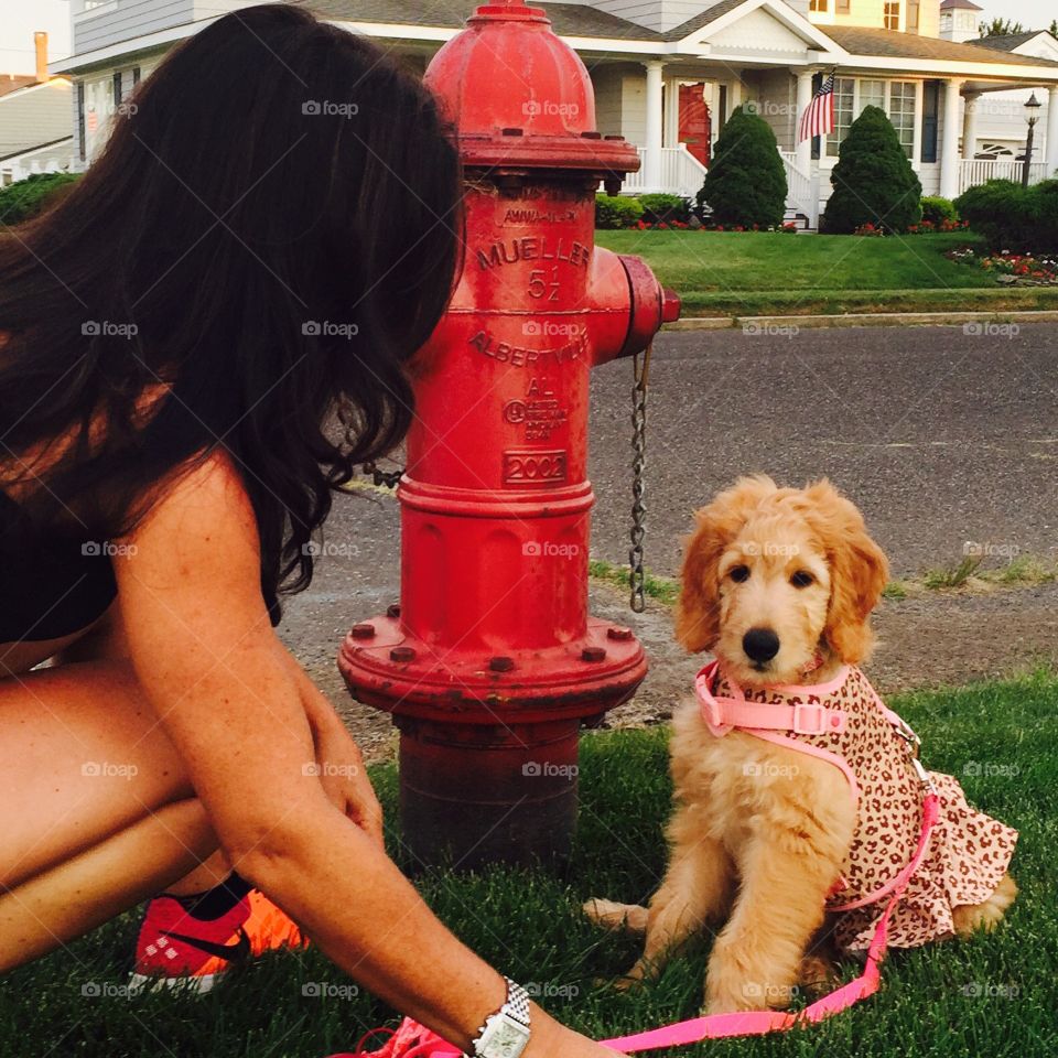 Puppy meeting at the fire hydrant 