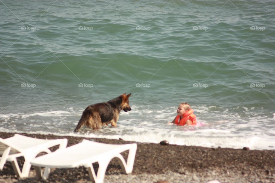 German Shepard with girl at the seaside 