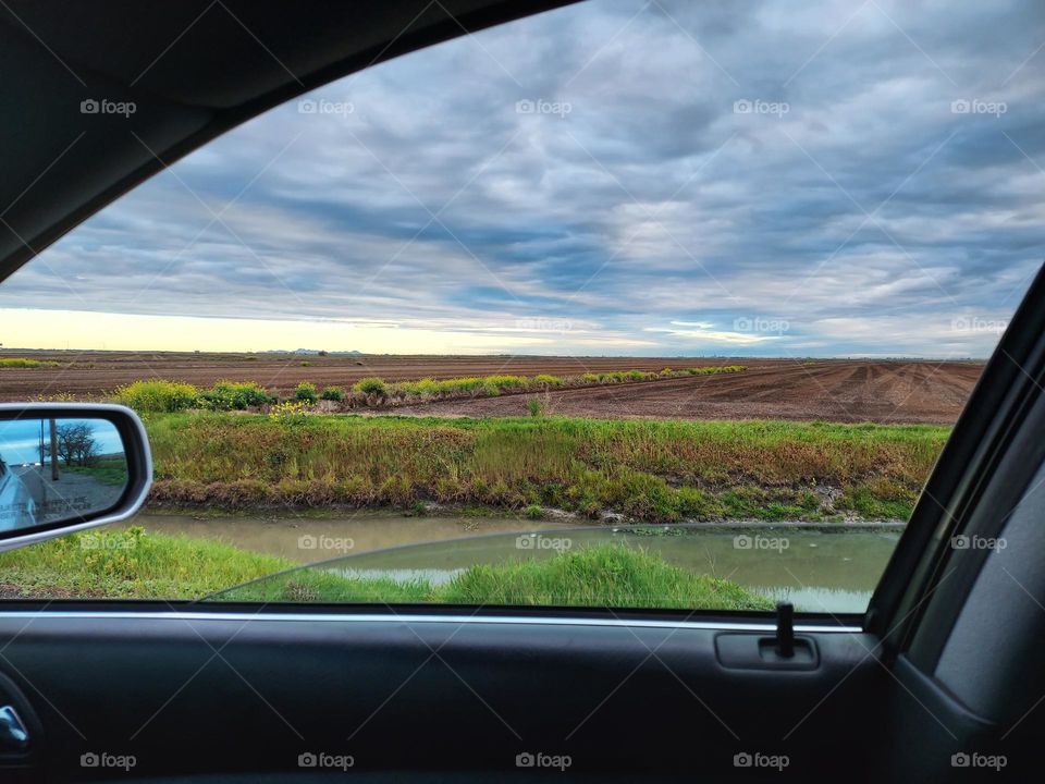 view from inside a car window