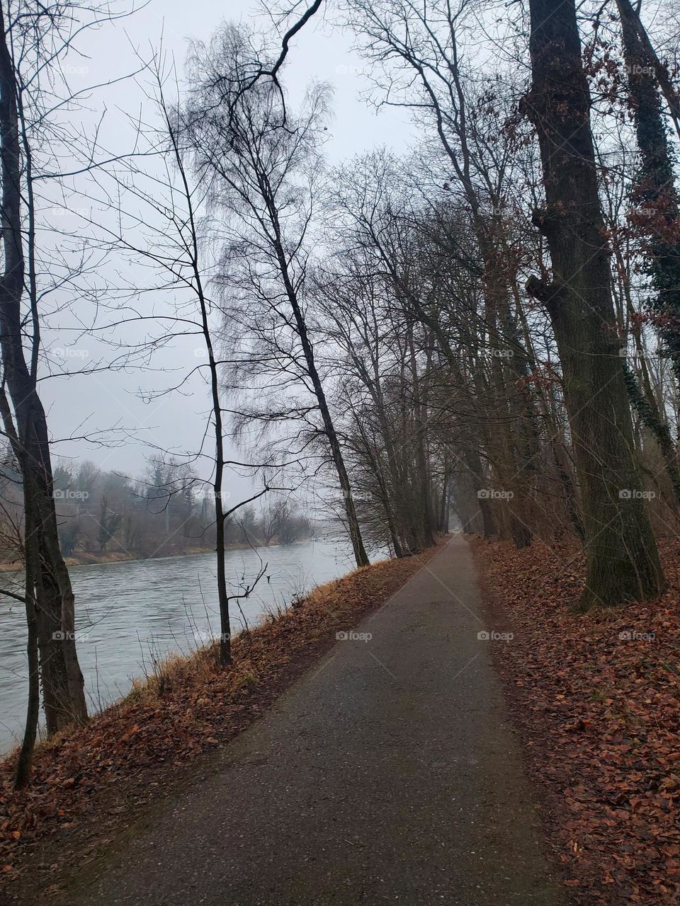The Way