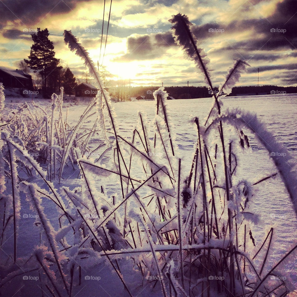 winter sun cold frosty by anrool