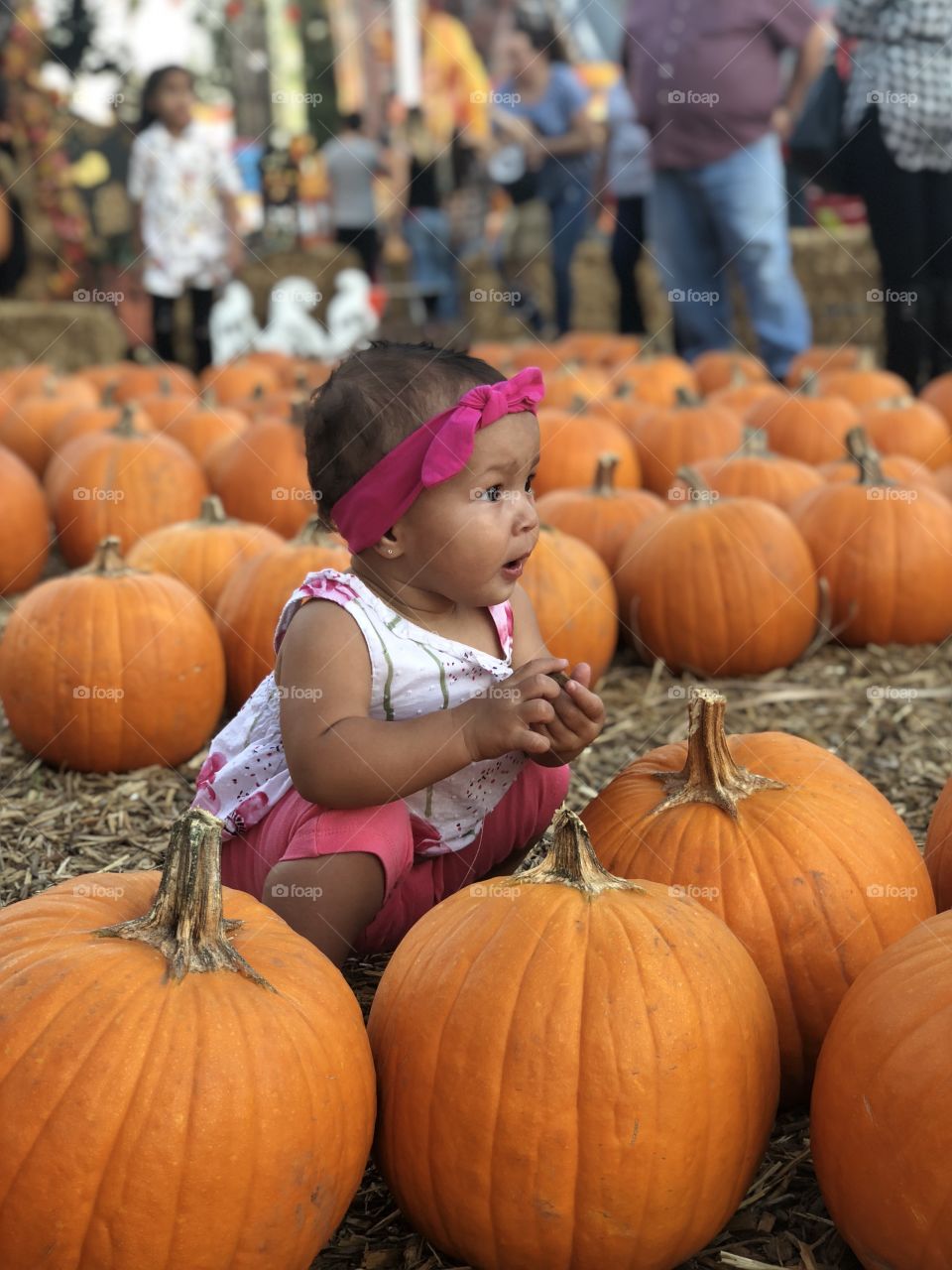 Pumpkins 