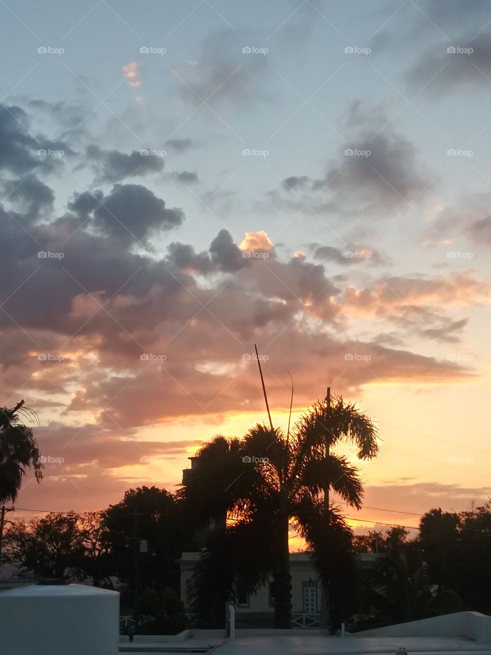 beautiful sunset