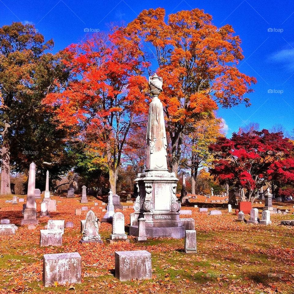 Mountain Grove Cemetery 