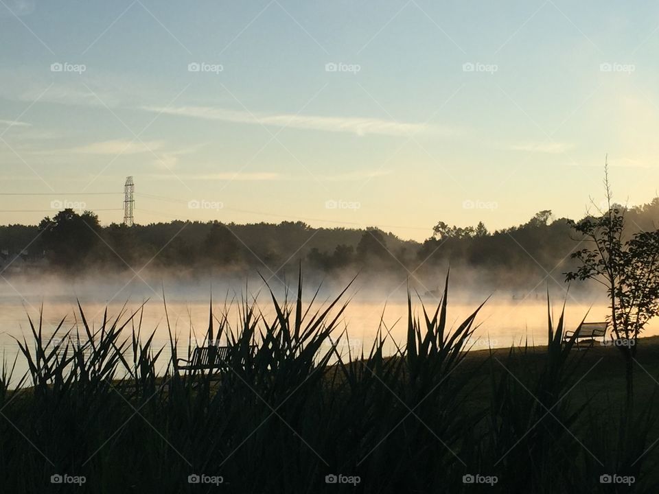 Mercer Lake foggy morning 