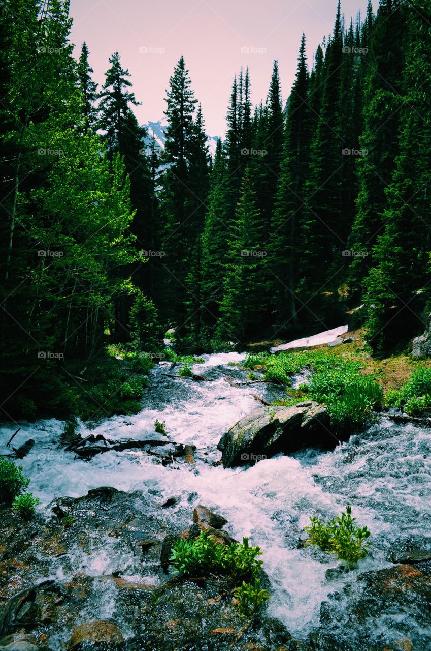 Water. Hanging Lake, Glenwood Springs CO