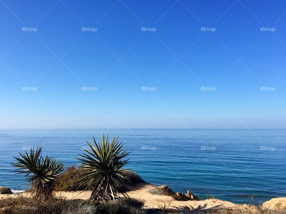 Torrey Pines, San Diego 