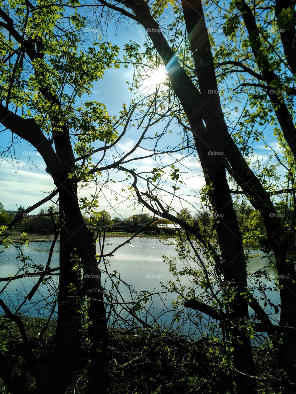 Silver Lake, Rochester, MN