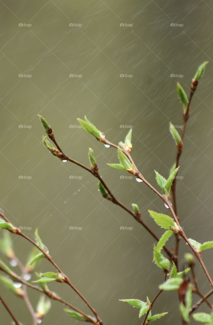 Collecting Droplets