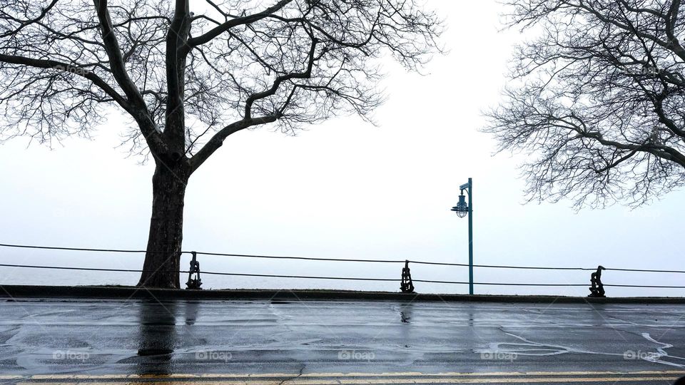 Fog over water on the New England coast 