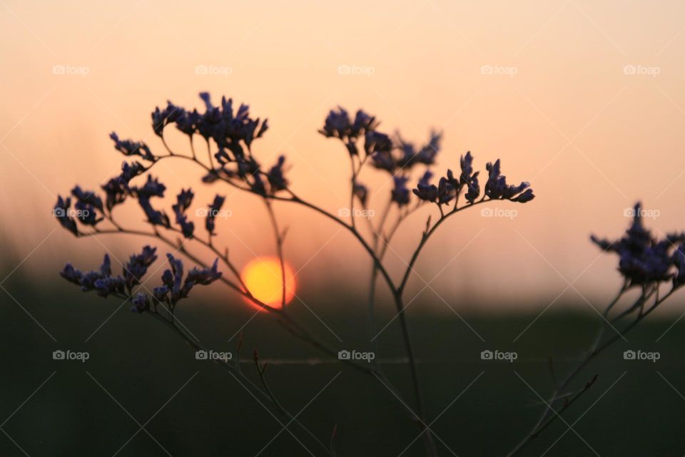 Ukraine 🇺🇦 ♌ Welcome