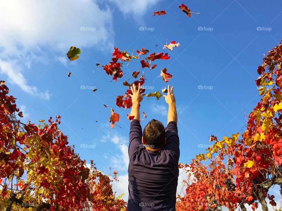 Rain leaves. Rain leaves in the campaign 