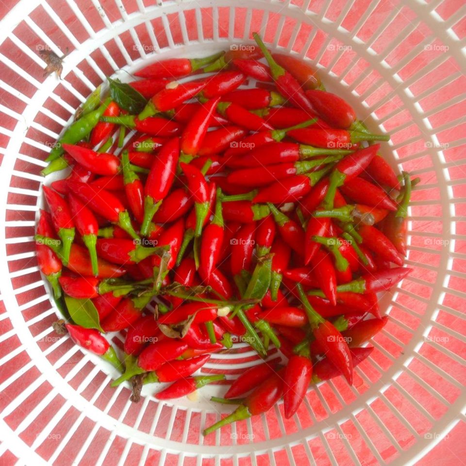 Fresh chillies out of the garden. 