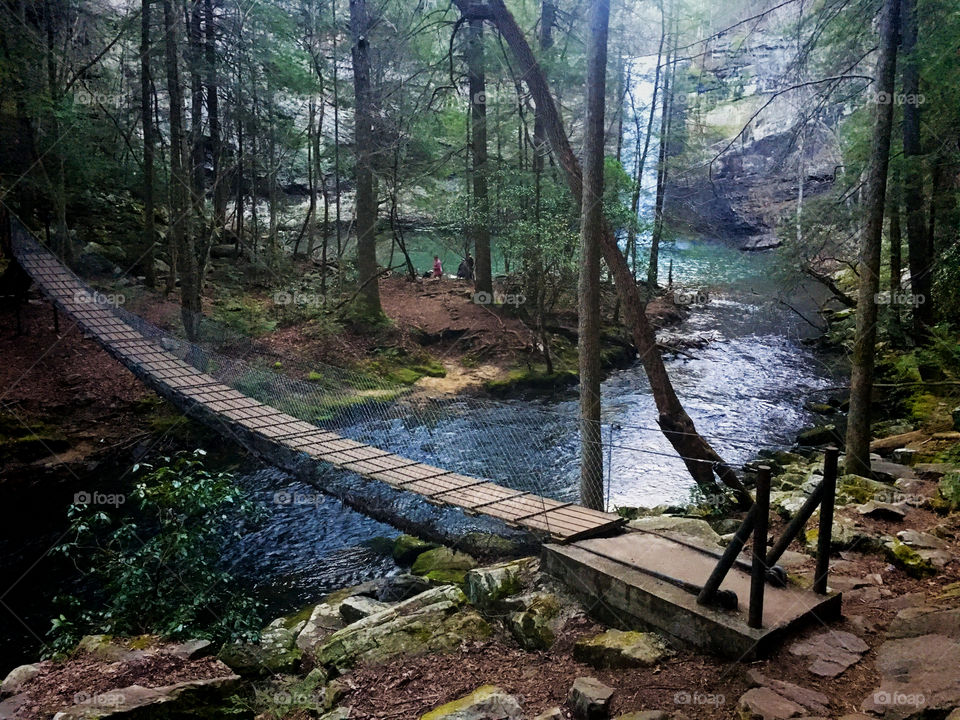 A suspension footbridge spanning the creek near the base of the waterfall at Foster Falls in South Cumberland State Park in Tennessee. 