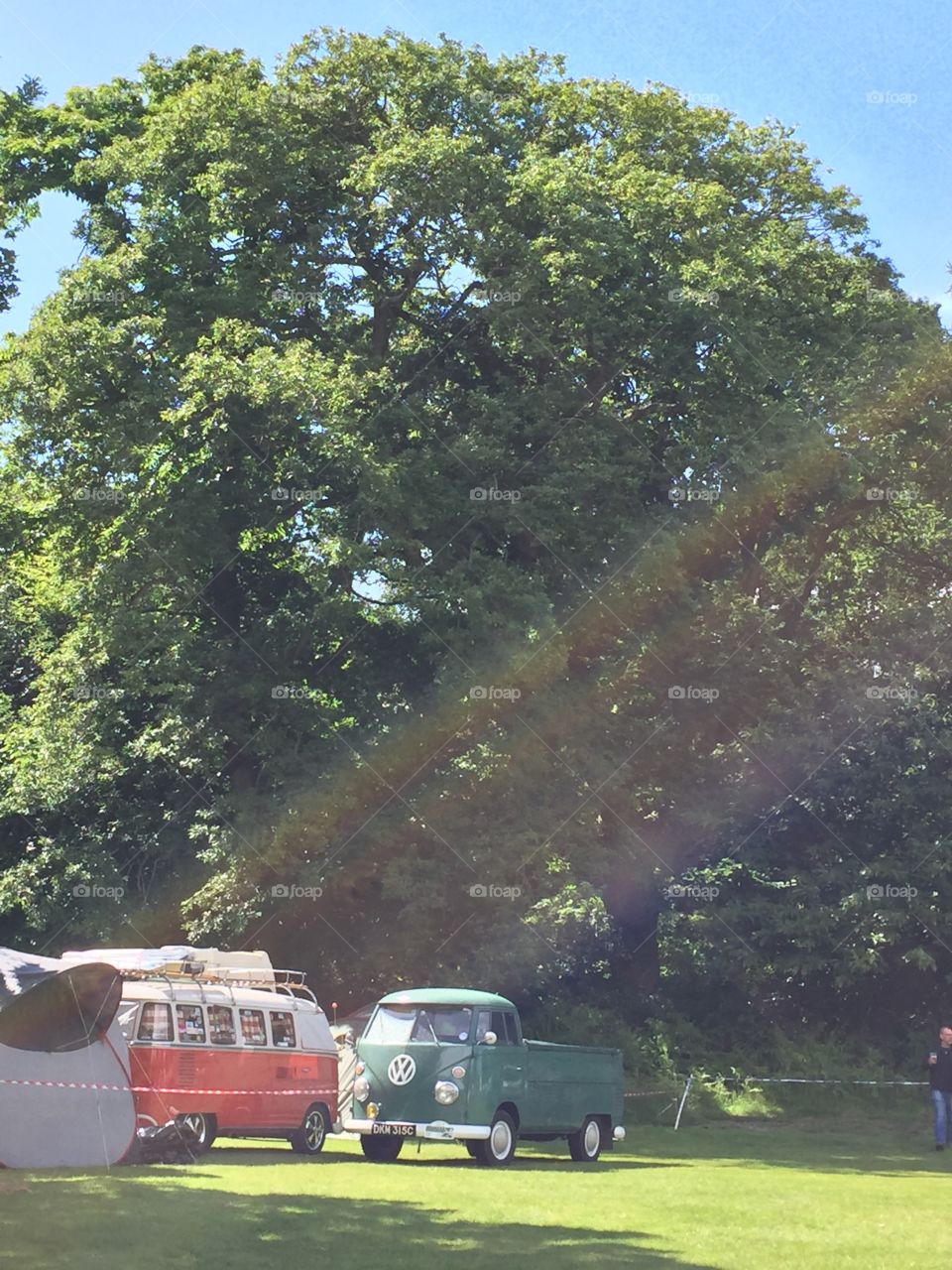 VW camper van under old tree