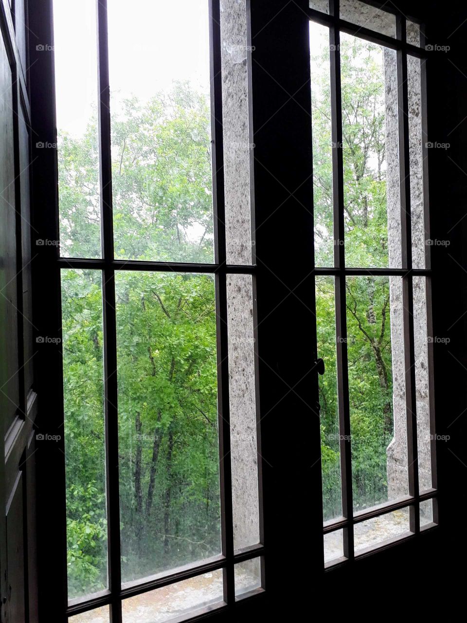 Windows view