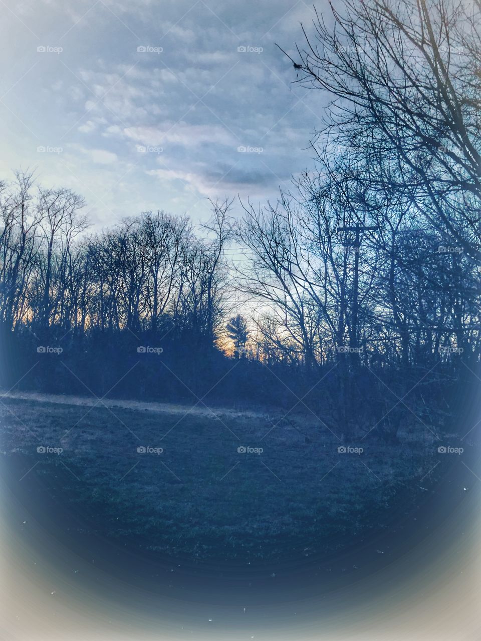 Brisk night evening sky trees wooded area sky clouds sunset