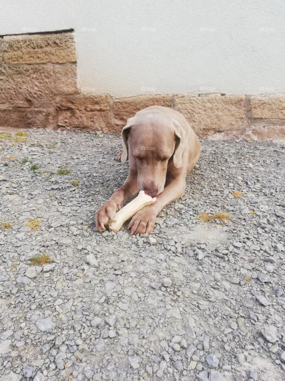 Ruby