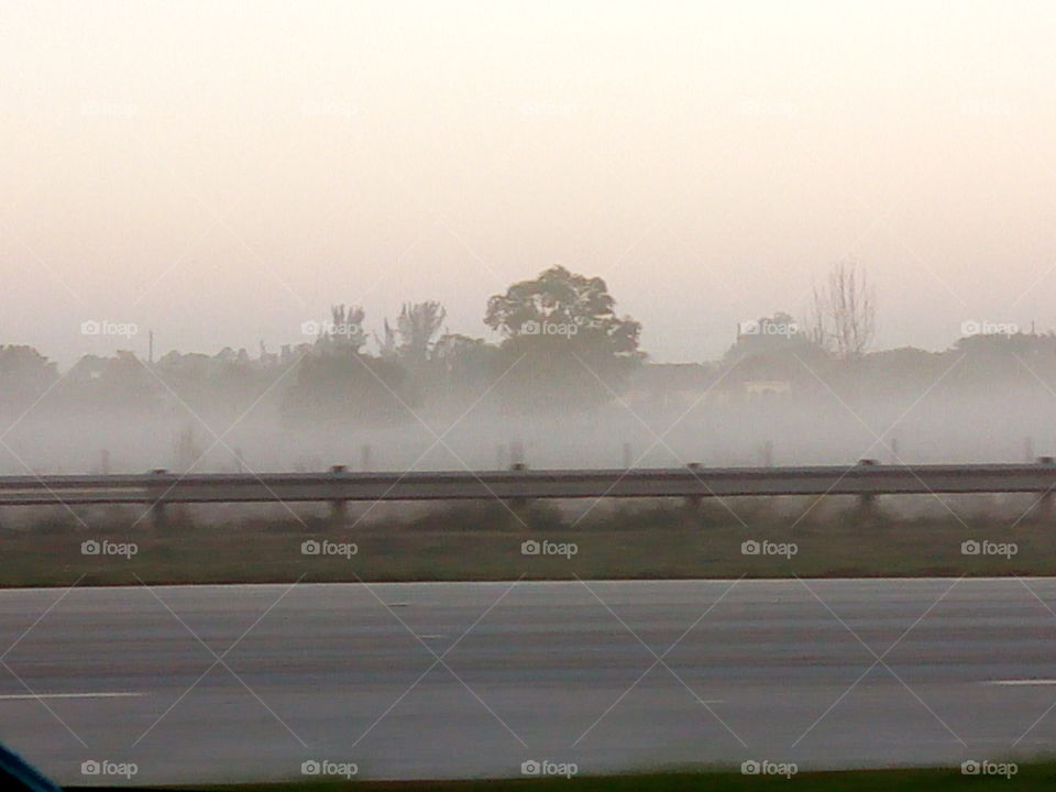 Foggy Early Morning