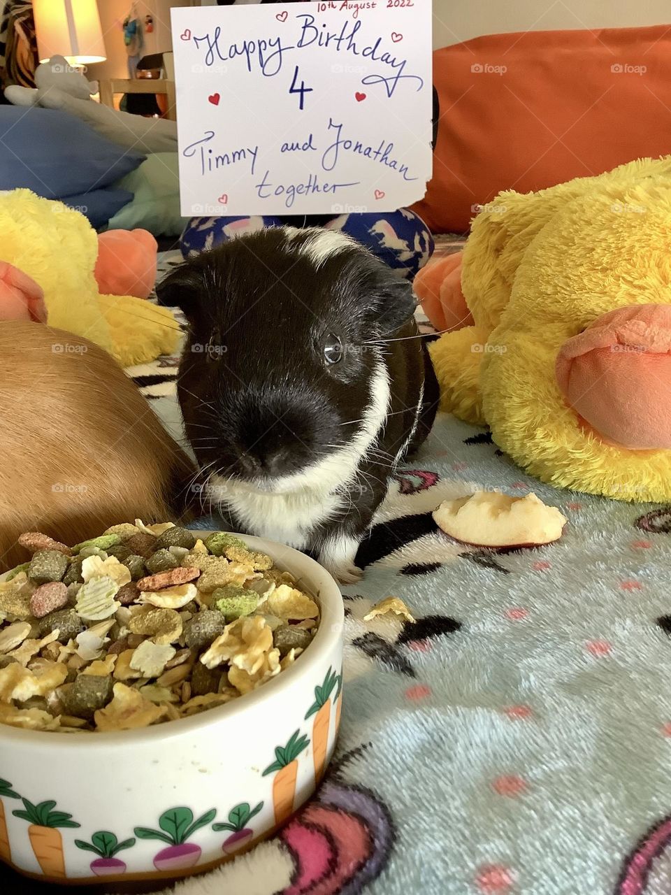 Timmy at the food bowl  