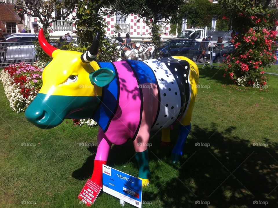 cow parade in Deauville