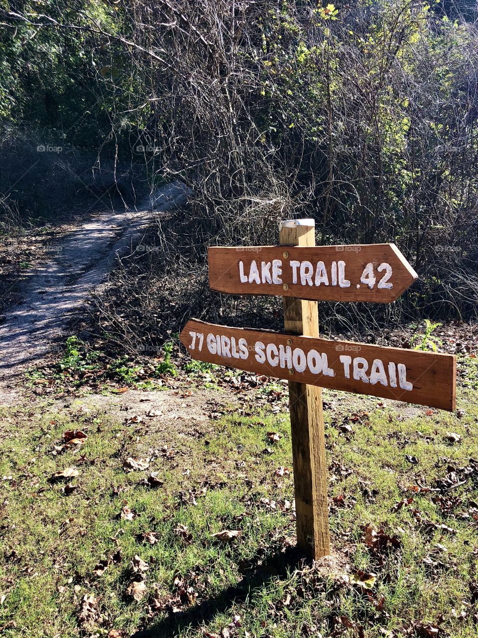 Trail signs at park