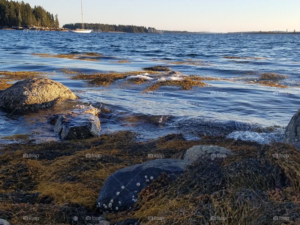 Water, No Person, Seashore, Landscape, Rock