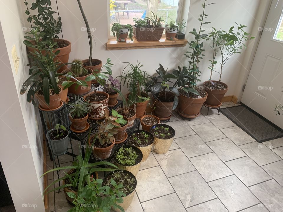 Plant room