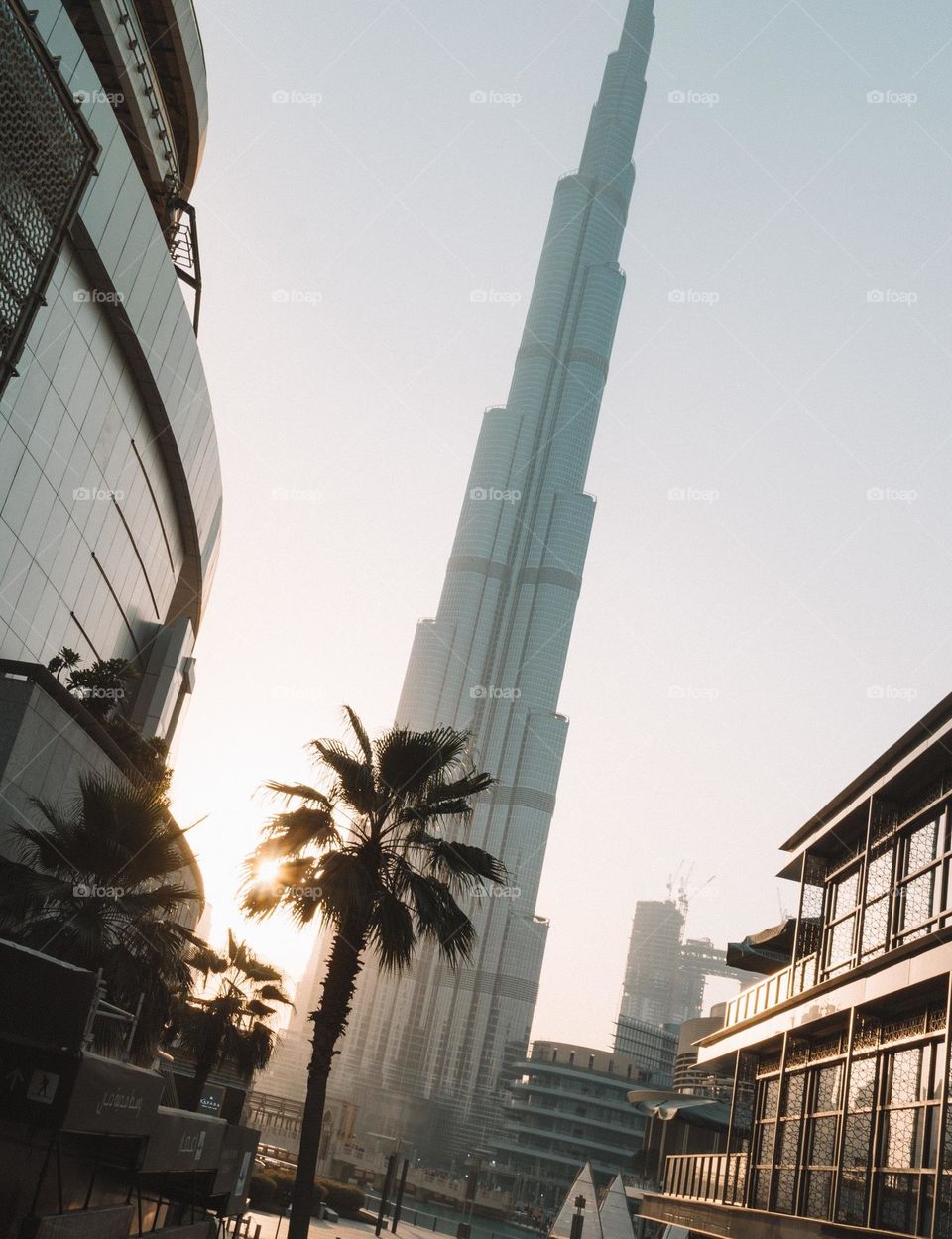 UAE 🇦🇪 Abu-Dabi