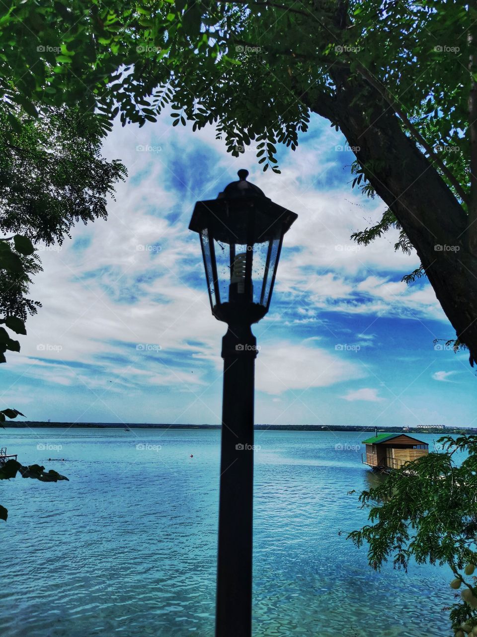 Summer color day outdoor nature greens wild forest greens sky clouds moody nature skyline sky horizont Flow beauty blue water outdoor plant tree clouds moody
