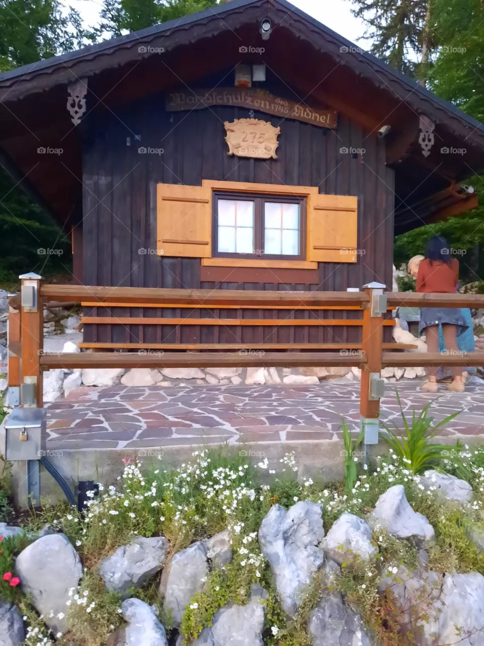 Wald Hütte 