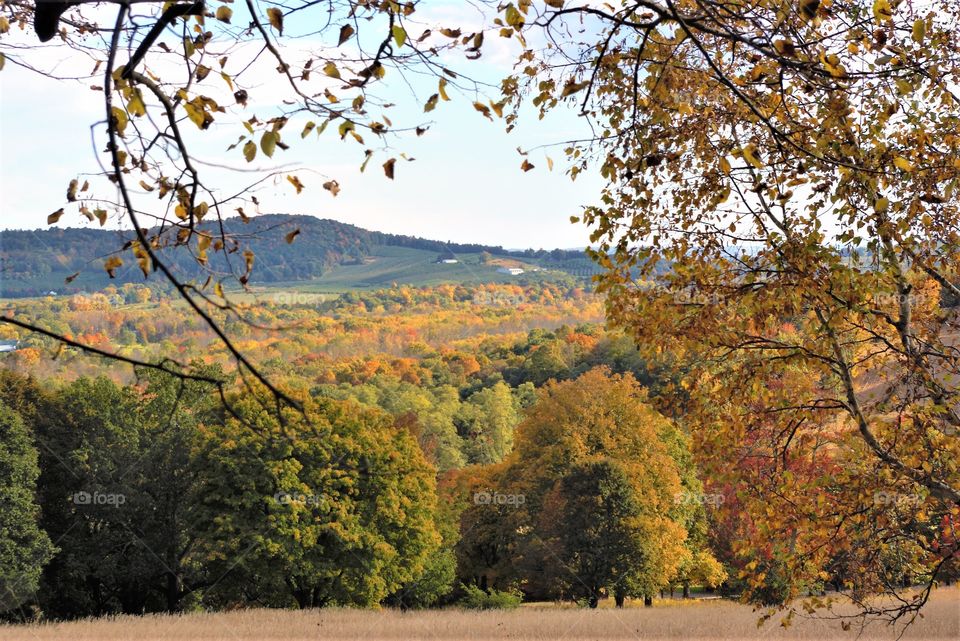 Hudson Valley Scenic View 