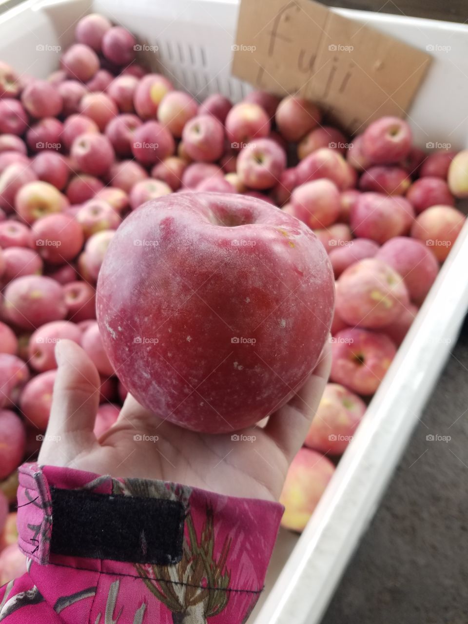 Apple Heaven