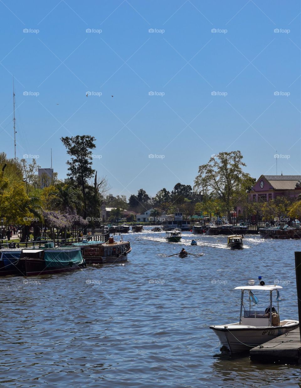 Tigre Argentina